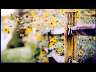 Ai Khổ Vì Ai? 🤔 - thumbnail