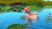 3D Rooster Duck Birds Finger Family Song | Eagle Penguin Ostrich Finger Family Nursery Rhyme