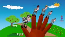 Finger Family Rhymes Zebra Cartoons for Children | Finger Family Children Nursery Rhymes for Kids 3D