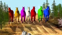 3D Horse Color Songs | Colours Cartoons For Children | Color Song | Horse For Children