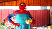 Spiderman Frozen Elsa PRINGLES CHALLENGE vs Joker Spidergirl MM TOYS Superhero Spell Fun IRL