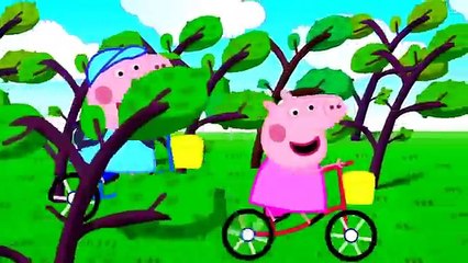 Peppa Pig English Episodes New Compilation 2016 #101