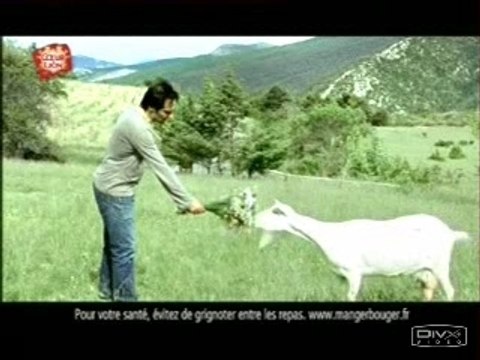 Pub FROMAGE CHEVRE ET BREBIS DE COEUR DE LION PUB 2007