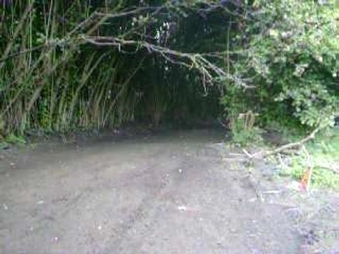 dirt bike viper 140cc