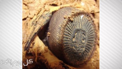 خطير جدا: إذا رأيت هذا الشيء فلاتلمسه ابدا ..لأنها ستكون نهايتك !