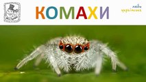 Розвиваючий мультфільм для малят про твари та комах, на українській мові