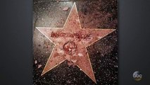 Donald Trumps Hollywood Star Vandalized