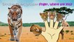 African Wild Animals Finger Family Nursery Rhymes Lyrics