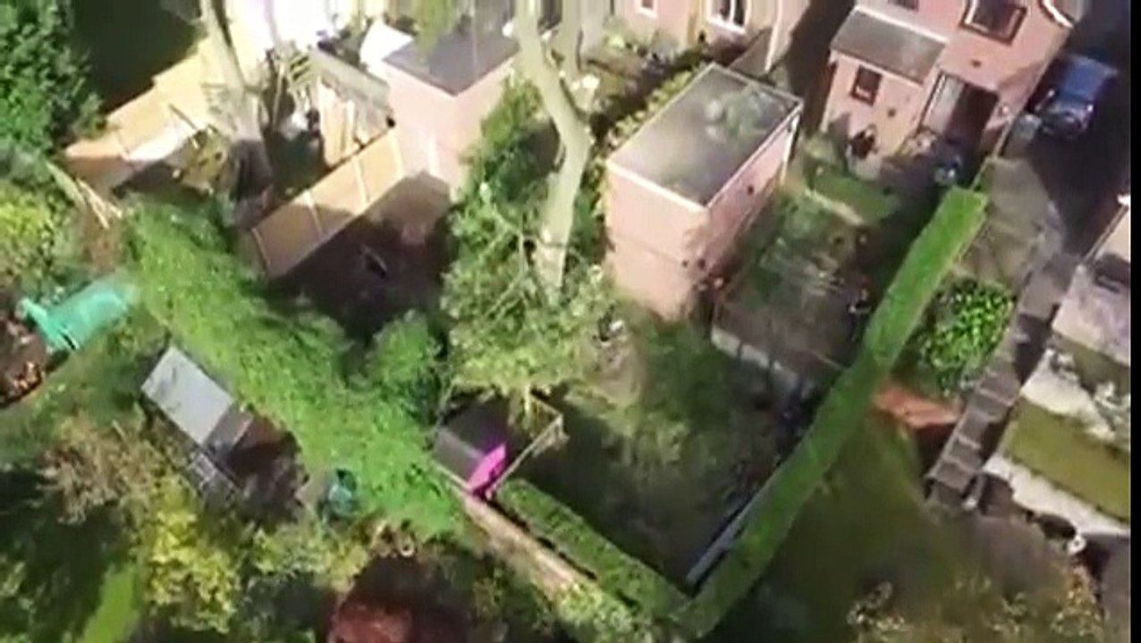 Certified Tree Surgeons in The Nottingham Area