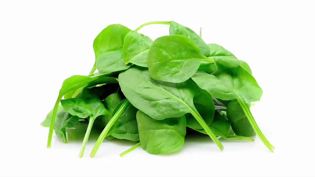 What to Eat to Lose Weight