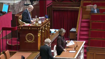 PPL Pub-Enfants : Michèle Bonneton (rapporteure)