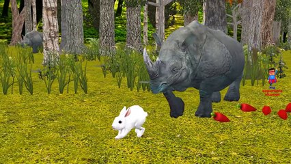 Rhino Attacks Animals And Singing Finger Family Nursery Rhymes For Children Kids And Babies