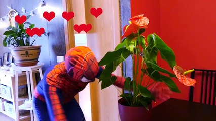 SPIDERMAN GETS HYPNOTIZED by Maleficent & Joker w/ Spidergirl in Real Life! Superhero ft Frozen Elsa