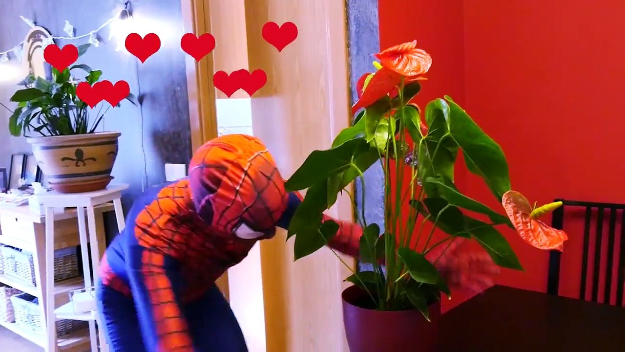 SPIDERMAN GETS HYPNOTIZED by Maleficent & Joker w/ Spidergirl in Real Life! Superhero ft Frozen Elsa