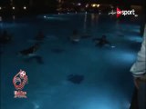 مدرب مصر يحتفل بالفوز على غانا بالقفز في حمام السباحة