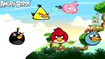 ANGRY BIRDS Transform Into PAW PATROL Ryder Chase Marshall Skye │Funny Painting for Kids #Animation