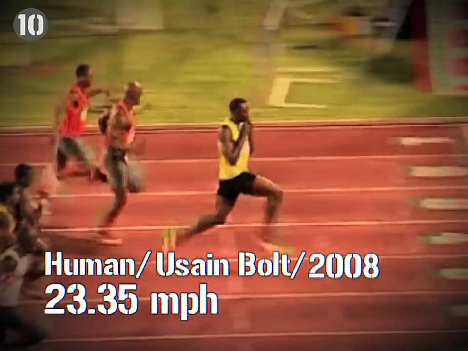 10 World Speed Records