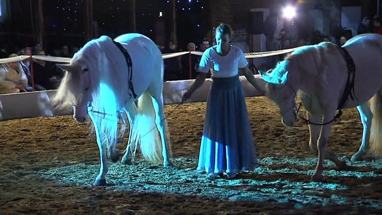 Les réalisations de Frédérique Mahy