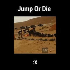Jump or Die Training 2016