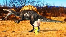 Pig Cartoons For Children | Pig Fight | Dinosaurs 3D Animation | Dinosaurs Movie For Children