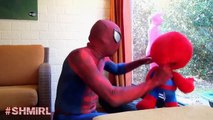 Pregnant PINK SPIDERGIRL Spiderbaby vs Spiderman Baby Spidey Frozen Elsa Funny Superheroes Movie