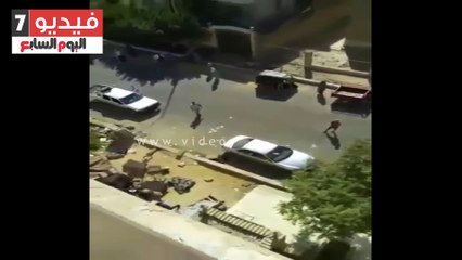 بلطجية يلقون "عفش" سيدة من شقتها بالدور الخامس بأكتوبر