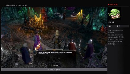 Sword Coast Legends (7)