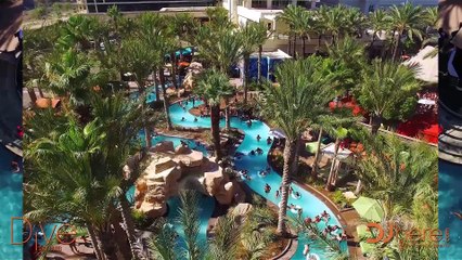 Dive Day Club Season 3 Recap - Twelve:Thirtyfive Creative Videography Services in San Diego