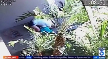 UNE MÈRE SAUVE SON FILS DE 2 ANS