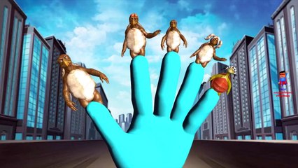 Finger Family Rhymes Tortoise Cartoons for Children | Finger Family Children Nursery Rhymes 3D