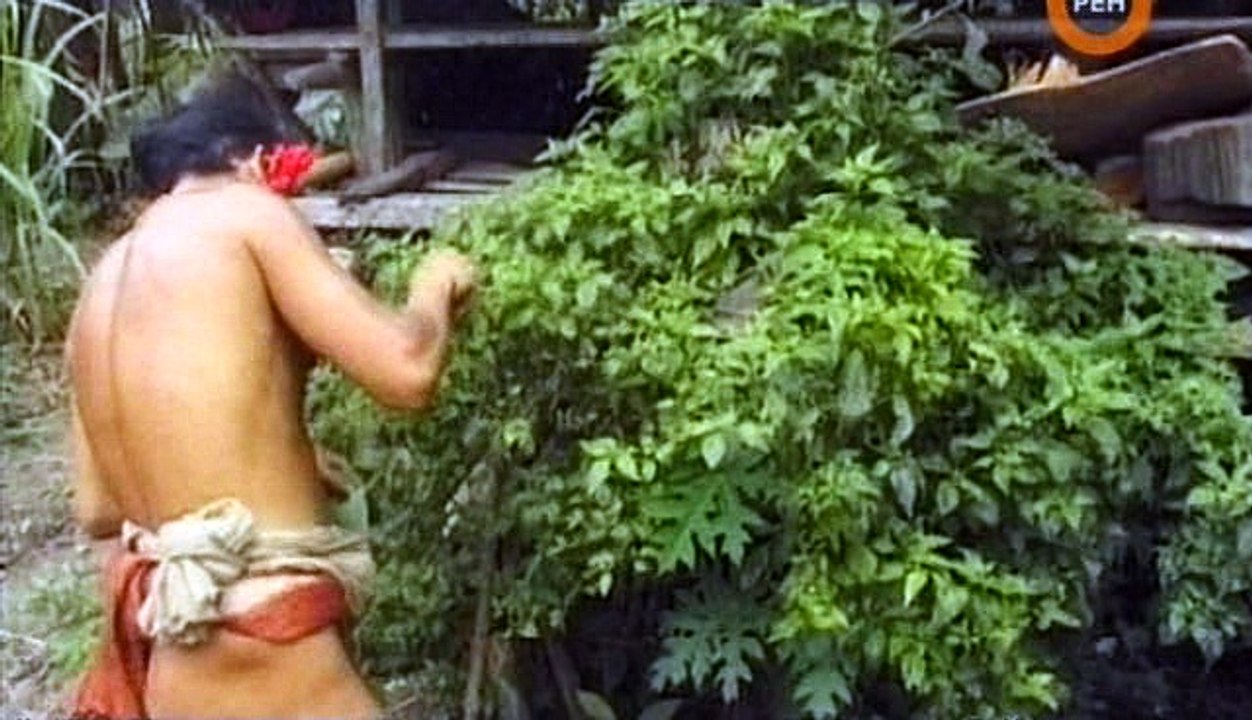 Неизвестная Планета. 04 / 04. Остров на Экваторе [2005, SATRip]