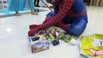 Spiderman Cleaning the house PRANK VS Elsa VS Venom VS Joker VS Hulk! Real Life Superheroes Fun
