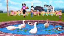 Farm Animals For Children Toddlers Babies | Learn Domestic Animals And Sounds