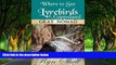 Best Deals Ebook  Lyrebirds in Gippsland: Where to See (Travel Australia Book 4)  Most Wanted