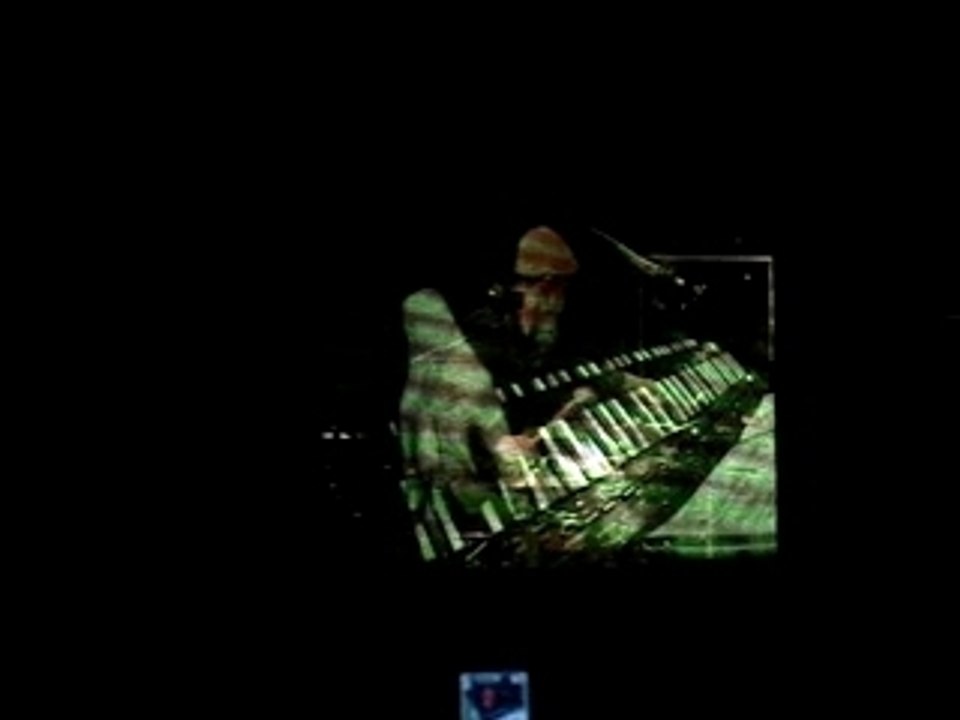 Björk @ Rock en Seine 2007