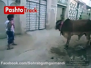 Pakistani Kids Funny Clip