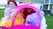 STOLEN Disney Princess Carriage! Poison Ivy vs Spiderman and Elsa vs Ariel and Belle skunk prank