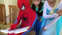 Spiderman in Real Life Cows Shepherd Spider-man & Hulk Saved by Doctor! Driving Superhero SHMIRL :)