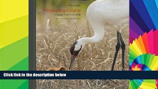 Ebook Best Deals  Whooping Crane: Images from the Wild  Full Ebook