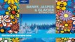 Must Have  Lonely Planet Banff, Jasper and Glacier National Parks (National Parks Travel Guide)