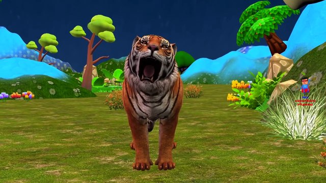 Tiger Cartoon Singing Finger Family Rhymes And Johny Johny Yes Papa Children Nursery Rhymes