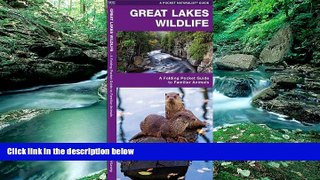 Best Buy Deals  Great Lakes Wildlife: A Folding Pocket Guide to Familiar Species (Pocket