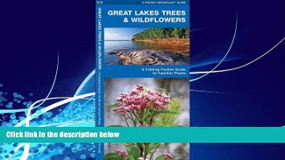 Best Buy Deals  Great Lakes Trees   Wildflowers: A Folding Pocket Guide to Familiar Species