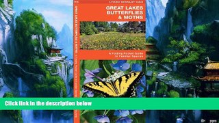 Best Buy Deals  Great Lakes Butterflies   Moths: A Folding Pocket Guide to Familiar Species