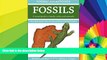 Ebook Best Deals  Formac Pocketguide to Fossils: Fossils, Rocks   Minerals in Nova Scotia, New