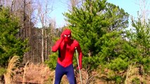 Pink Spidergirl vs Catwoman vs Spiderbaby Spiderman baby kidnapped at park Superhero Animation