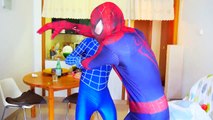Spider-Doctor vs Spiderman Epic Farts! w/ Frozen Elsa & Pink Spidergirl vs T-Rex & Zombie!
