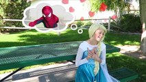 BURIED ALIVE Spiderman vs Frozen Elsa Baby Spidergirl Catwoman Joker Family Fun Superhero movie