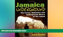 Must Have  Jamaica Underground: The Caves, Sinkholes and Underground Rivers of the Island  Buy Now
