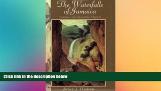 Must Have  The Waterfalls of Jamaica: Sublime and Beautiful Objects  Full Ebook